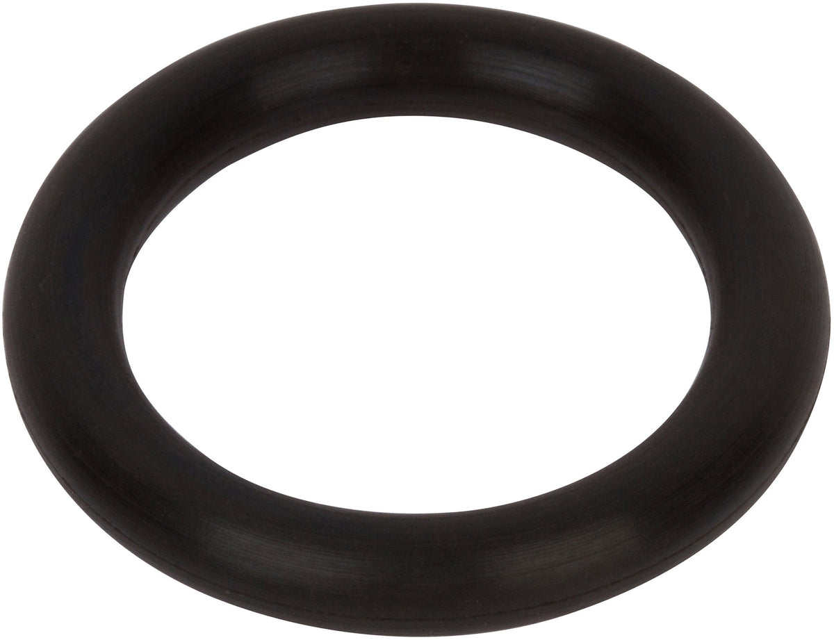 O-Ring Piston Pump ML (Part #180300)